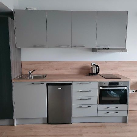 דירות קרקוב Sympozjum Loft מראה חיצוני תמונה